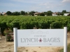 The vineyards of Lynch-Bages