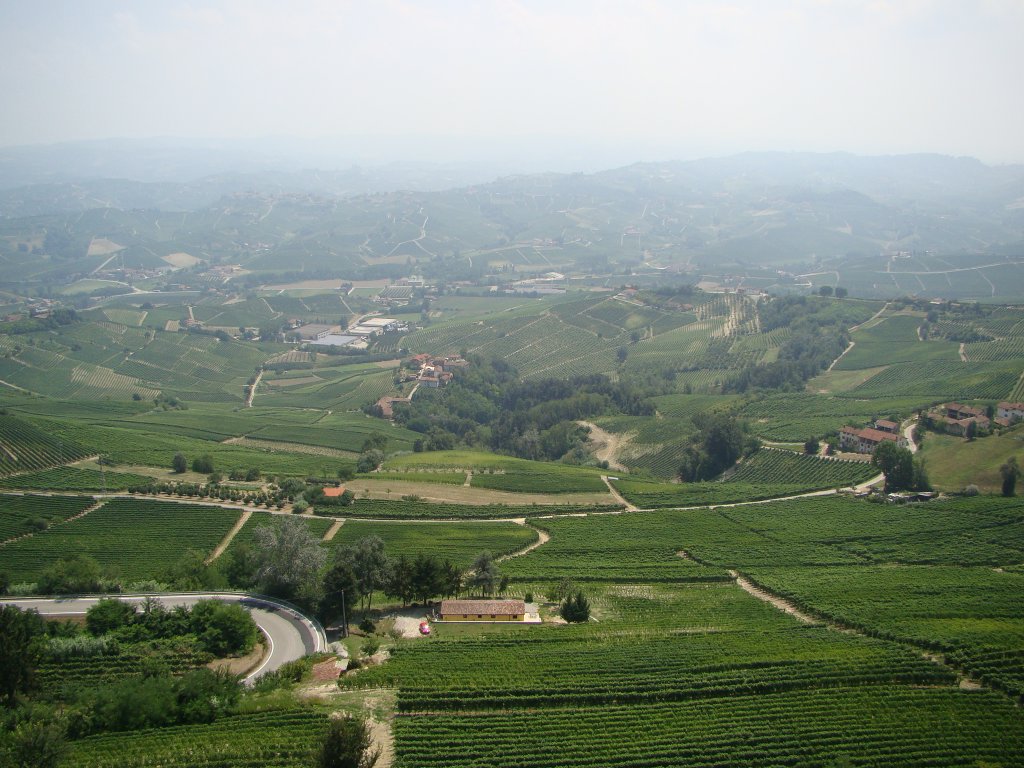 Piedmont Wine Country - famous for Barolo & Barbaresco