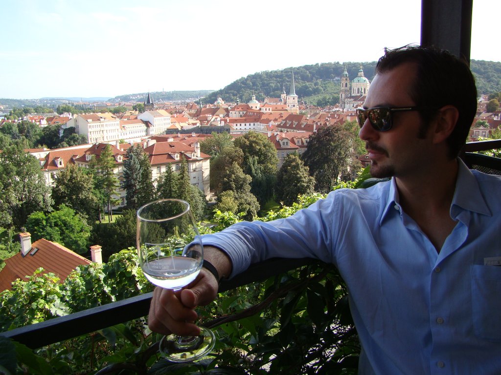 View of Prague from Czech Republic\'s oldest vineyard