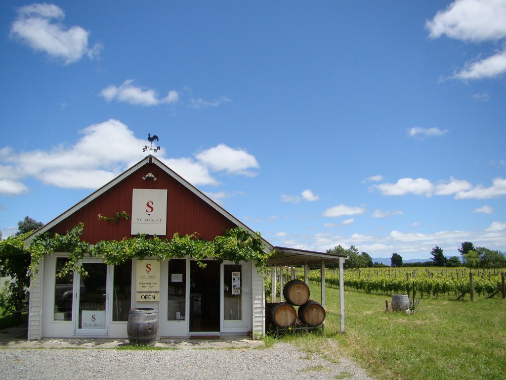 New Zealand winery in Martinborough (North Island)
