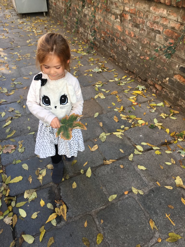 Finding the perfect leaf