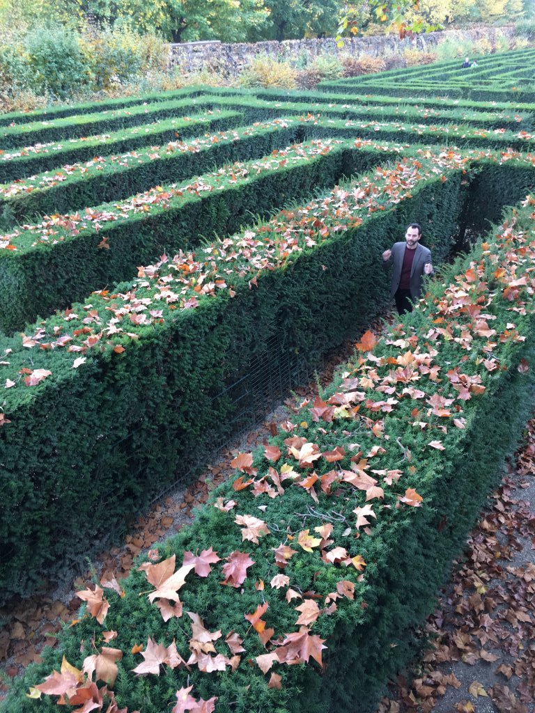 Getting amazingly lost in a maze