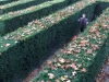Getting amazingly lost in a maze