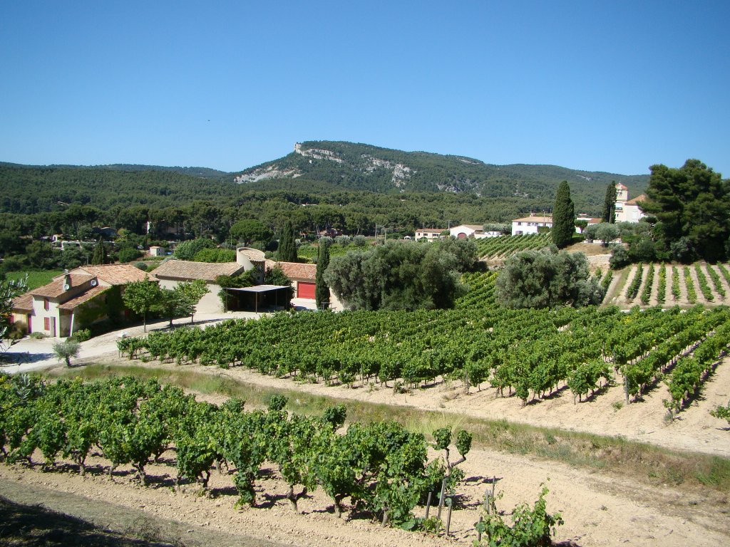 Bandol wine country (Southern France)