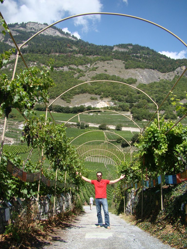 Vineyards in Vaud Switzerland